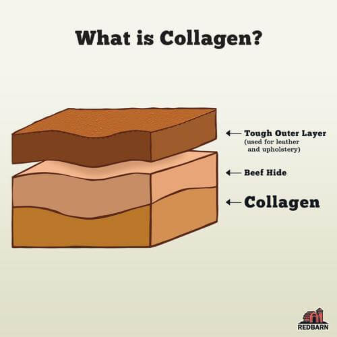 Red Barn Dog Treats - Collagen Spring