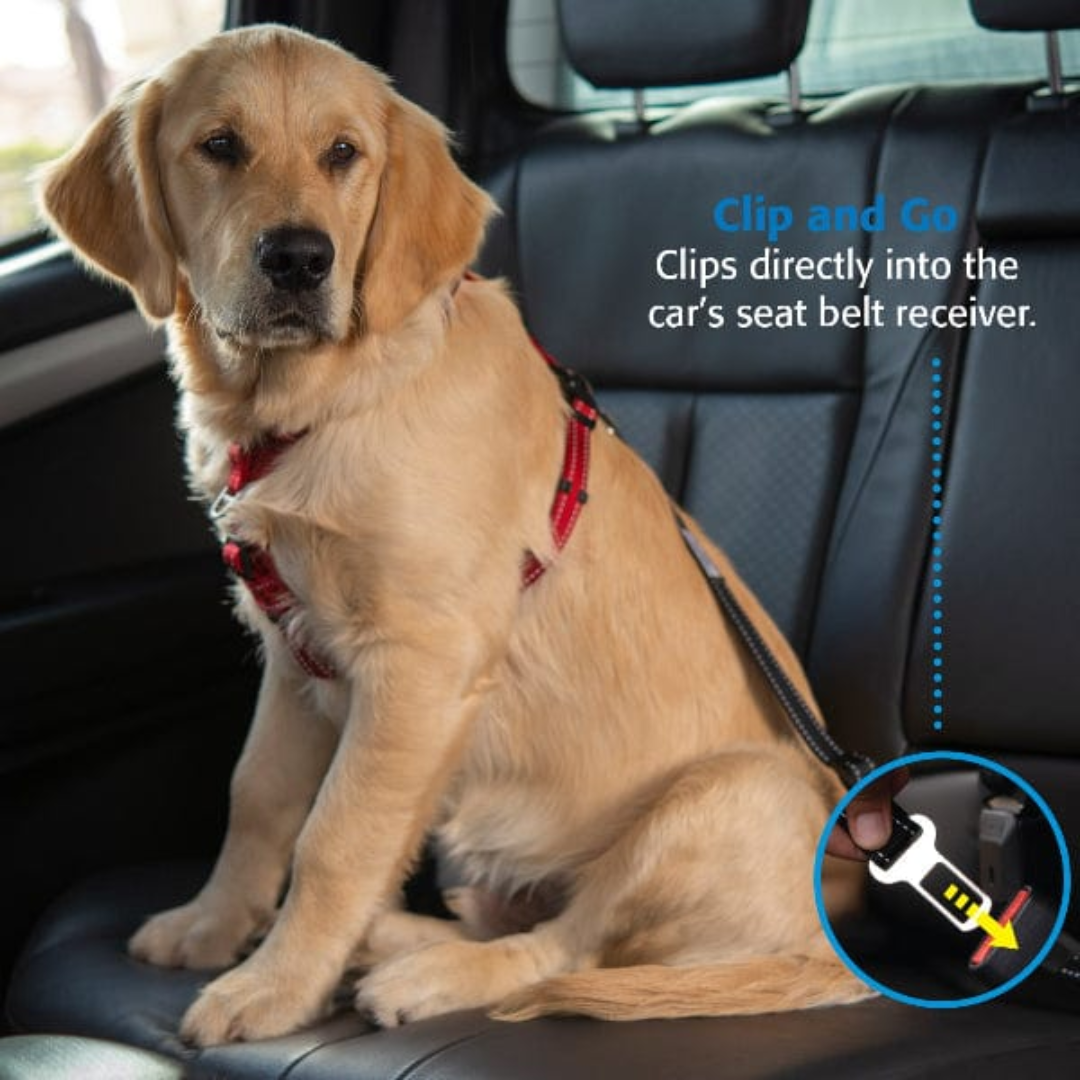 Rogz Dog Leashes - Utility Car-Safe Safety Belt Clip