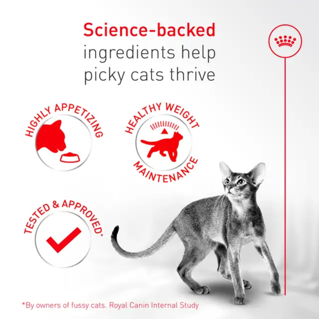 Royal Canin Dry Cat Food - Fussy Cat