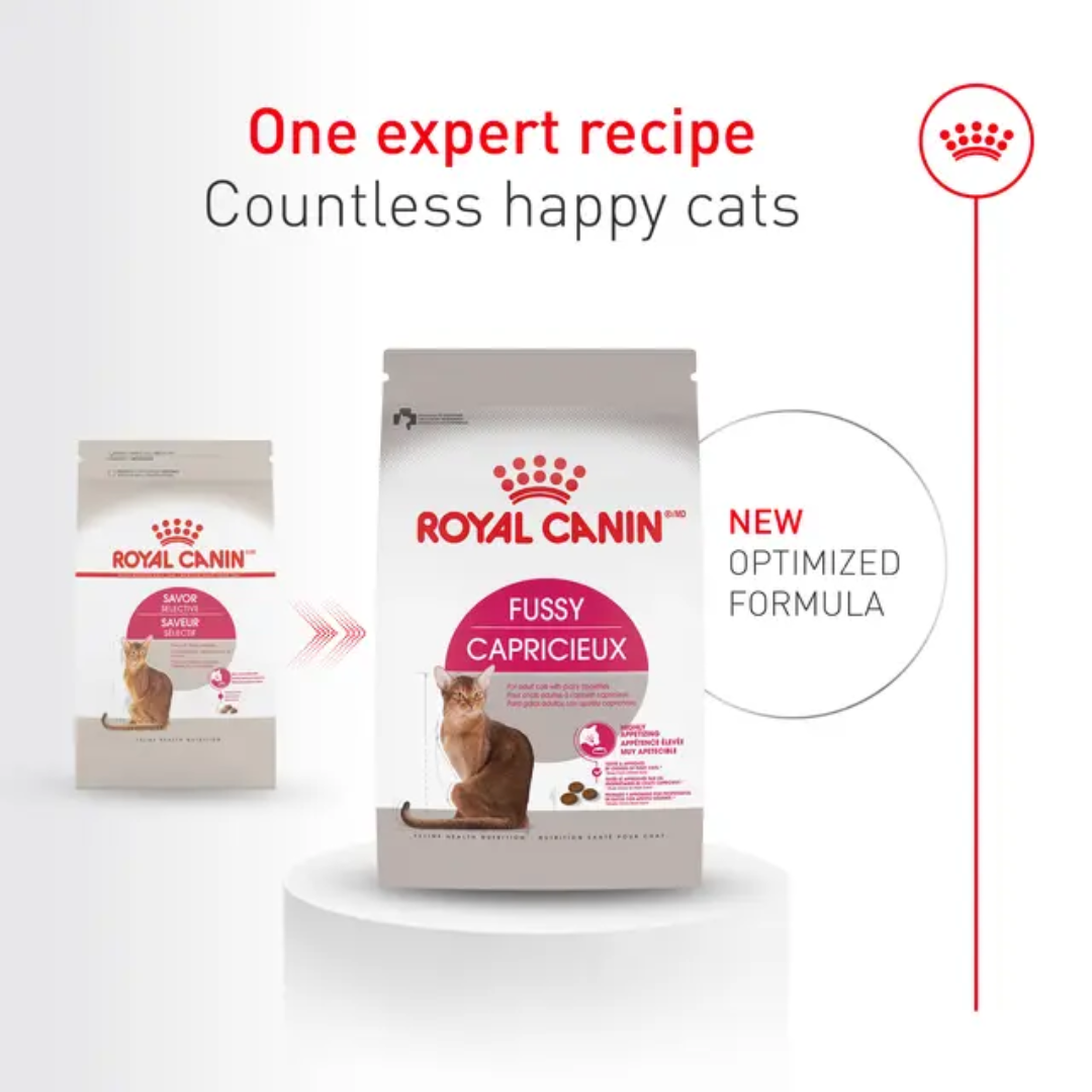 Royal Canin Dry Cat Food - Fussy Cat
