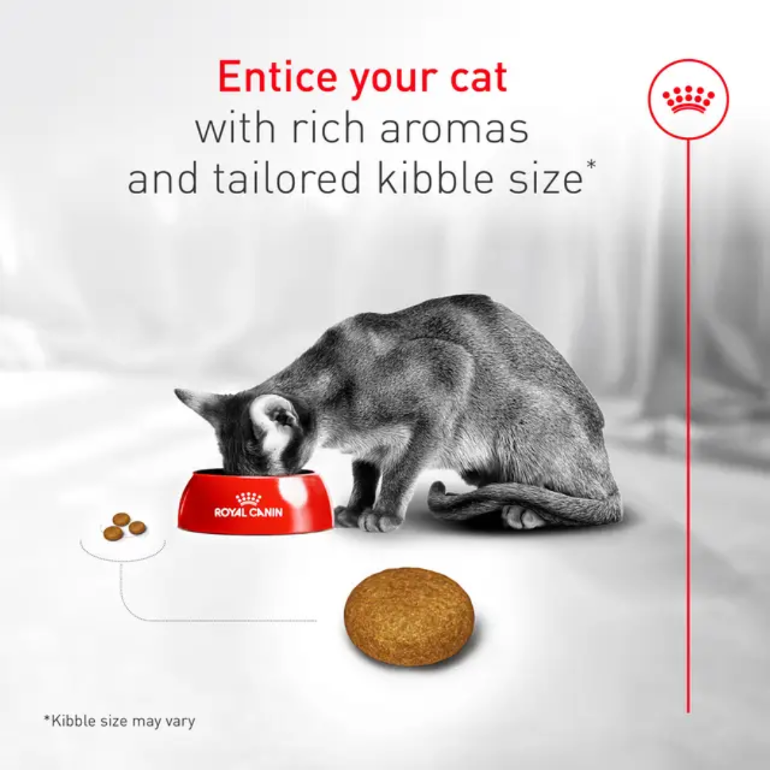 Royal Canin Dry Cat Food - Fussy Cat