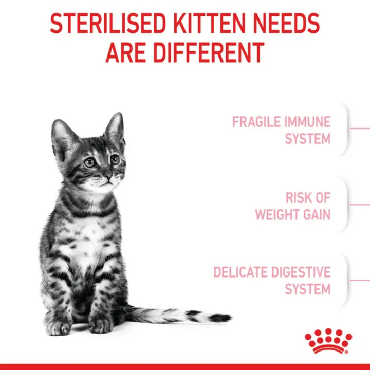 Royal Canin Dry Cat Food - Kitten Spayed / Neutered