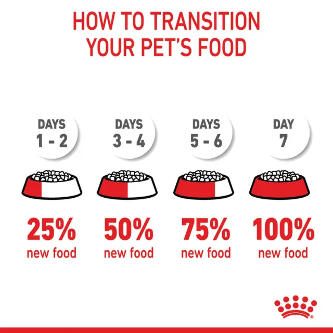 Royal Canin Dry Cat Food - Kitten Spayed / Neutered