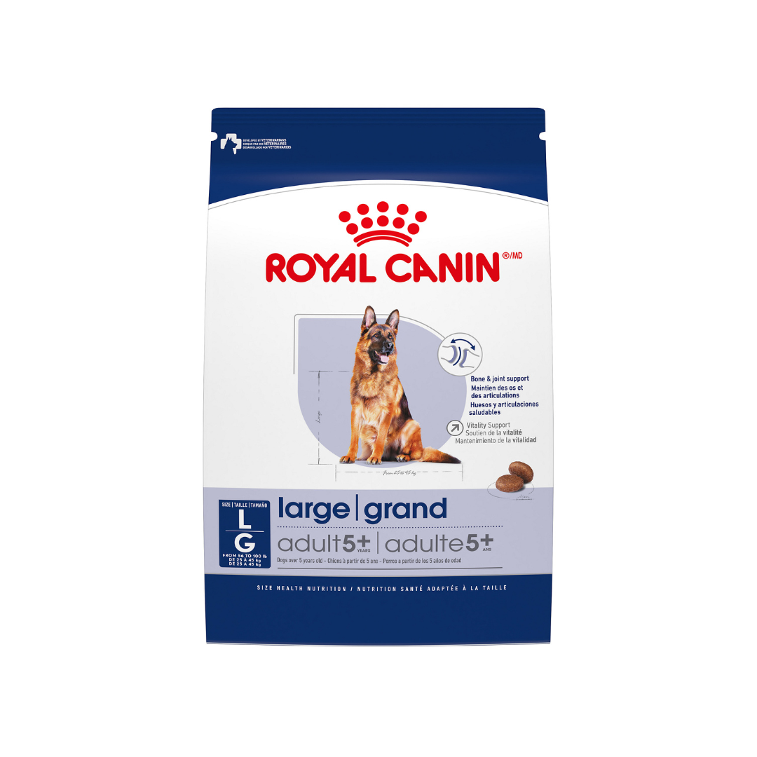 Royal Canin Dry Dog Food - Large Aging 5 Plus