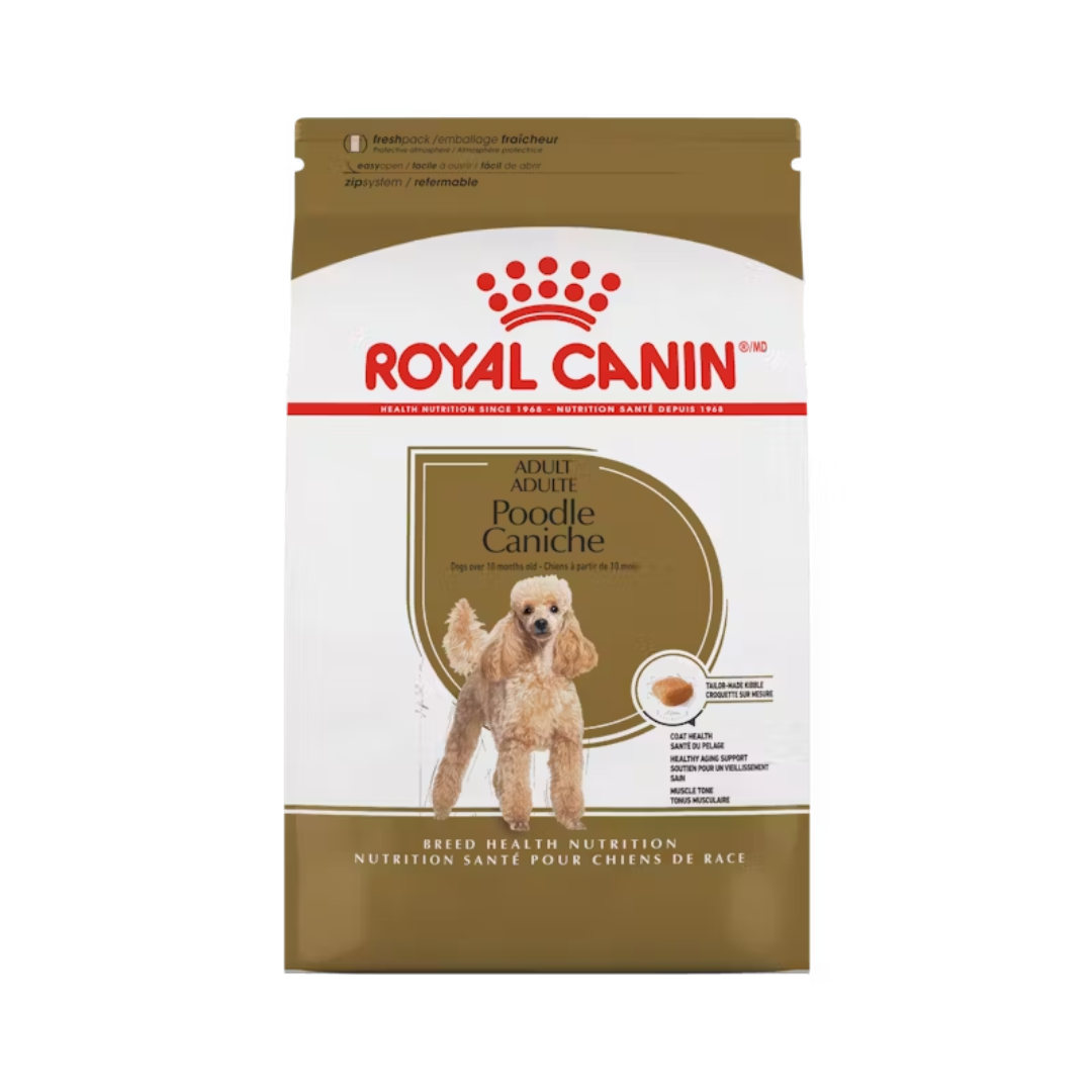 Royal Canin Dry Dog Food - Poodle Adult