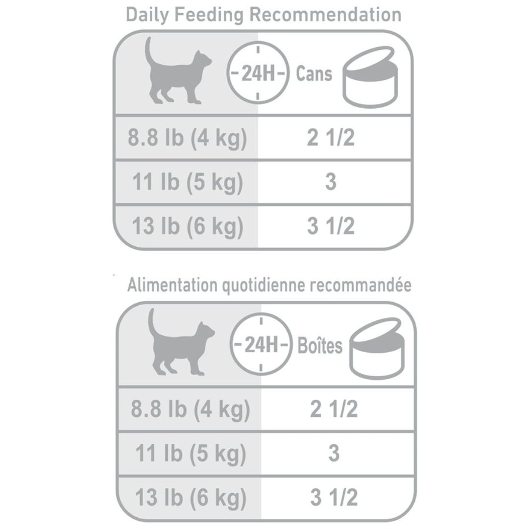 Royal Canin Wet Cat Food - Feline Health Nutrition Aging 11 Plus Slices in Gravy Canned