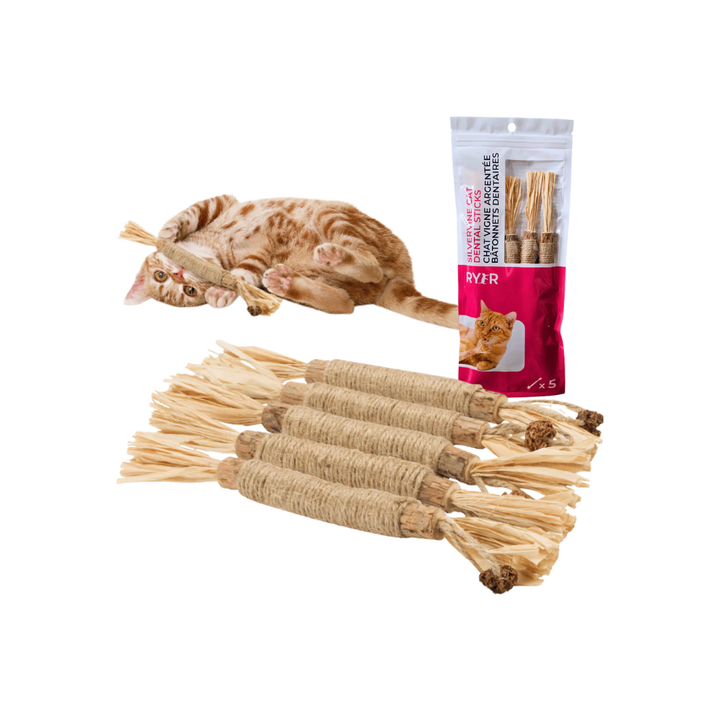 RyeCat Cat Toys - Silvervine Dental Sticks