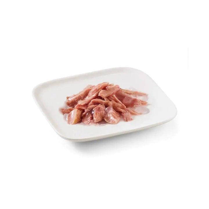 Schesir Wet Dog Food - Tuna in Jelly Can 