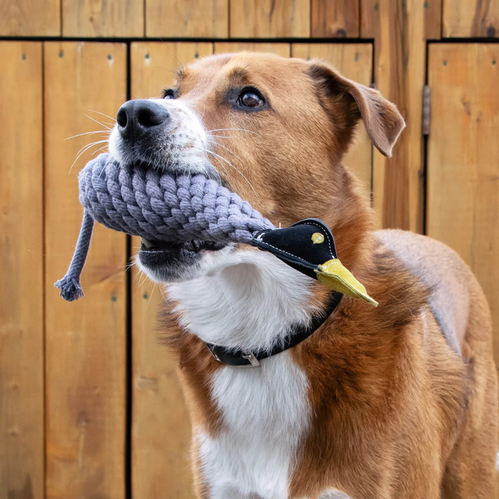 Shedrow K9 Dog Toys - Canada Goose Rope & Water Bottle