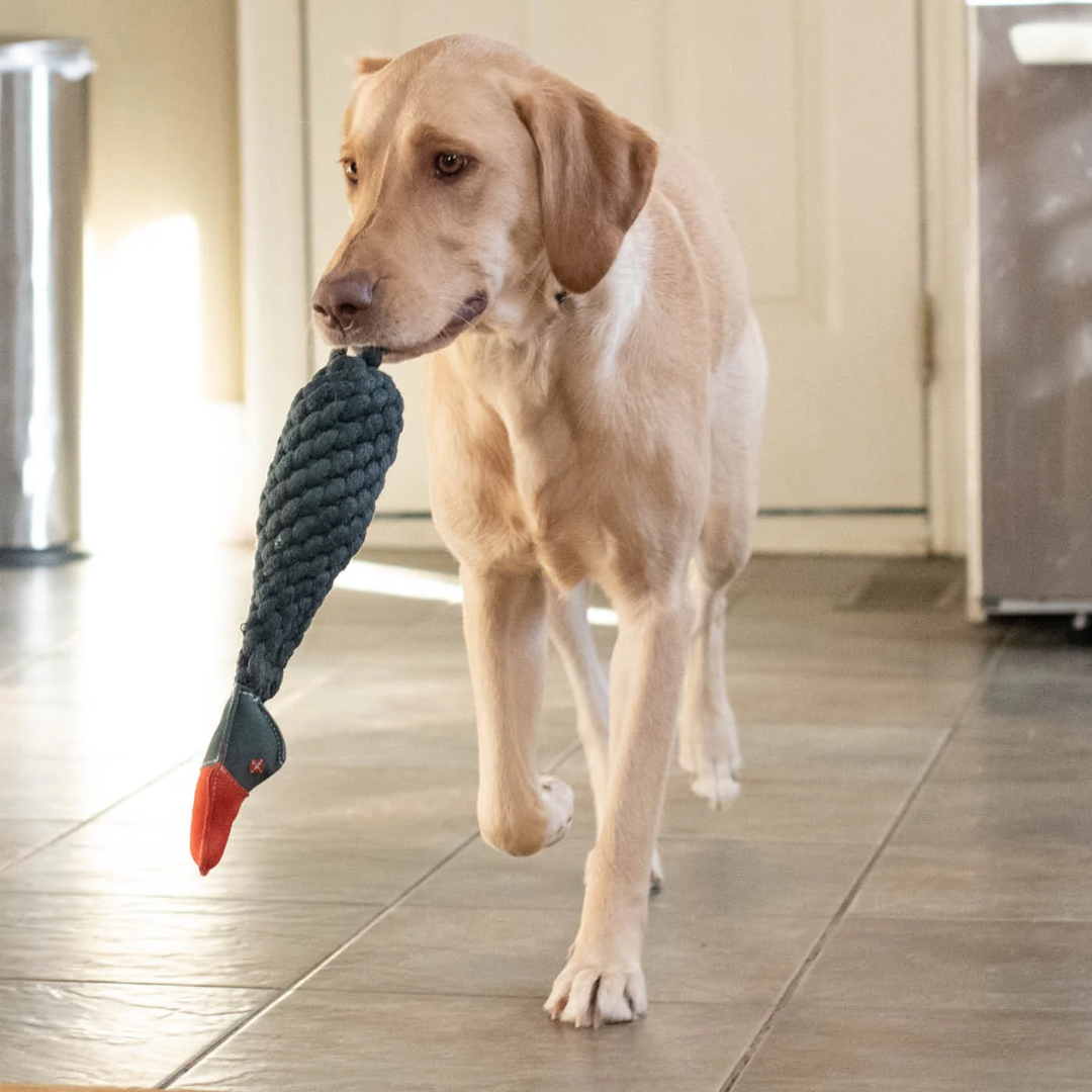 Shedrow K9 Dog Toys - Duck Rope & Water Bottle