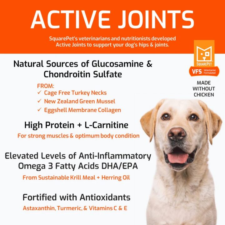 SquarePet Dry Dog Food - VFS Active Joints