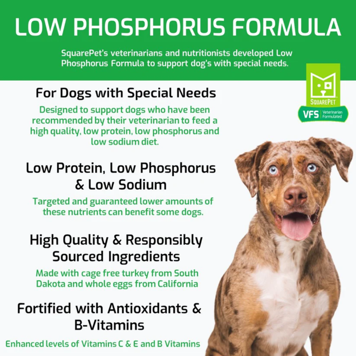 SquarePet Dry Dog Food - VFS Low Phosphorus Formula