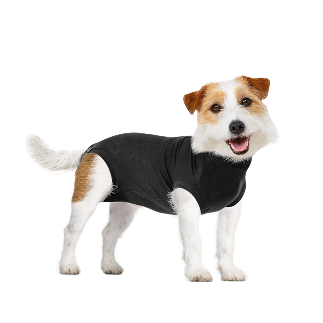 Suitical Dog Apparel - Recovery Suit