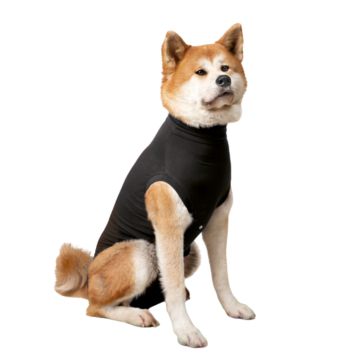 Suitical Dog Apparel - Recovery Suit