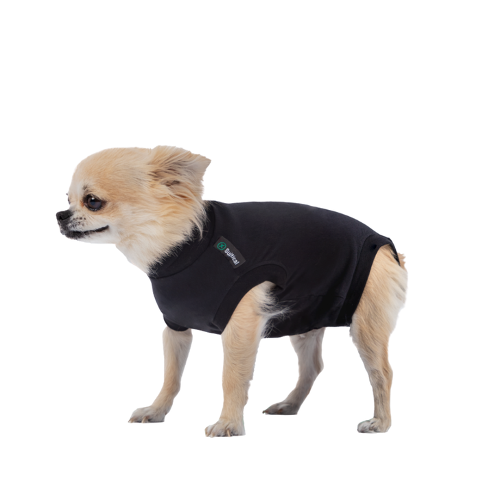 Suitical Dog Apparel - Recovery Suit