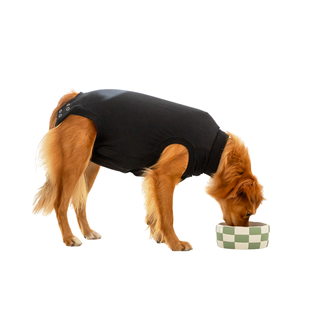 Suitical Dog Apparel - Recovery Suit