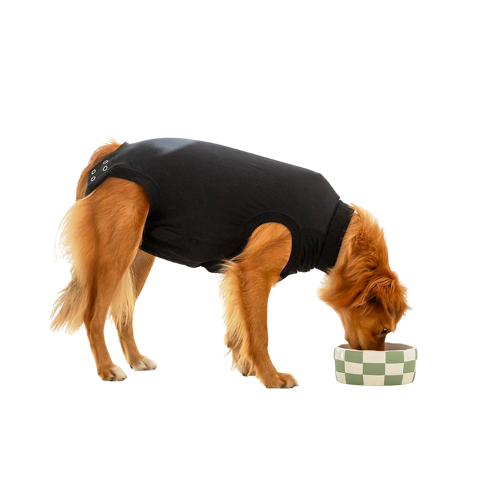 Suitical Dog Apparel - Recovery Suit