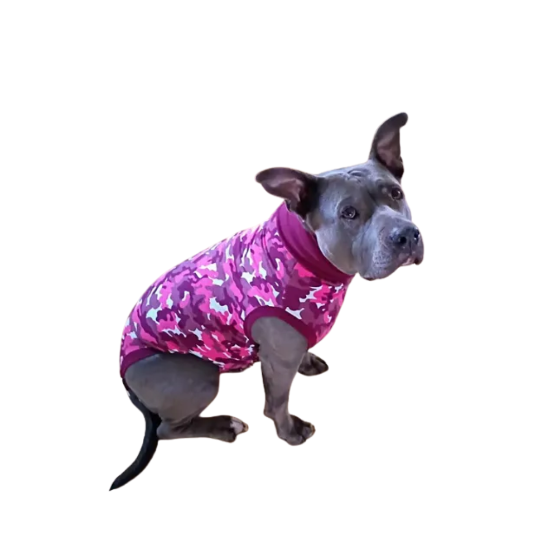 Suitical Dog Apparel - Recovery Suit