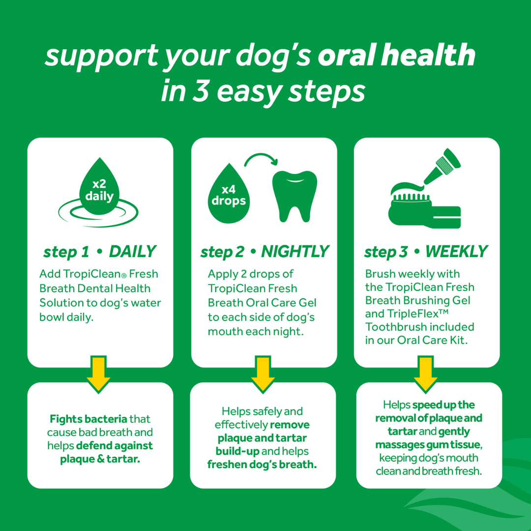 Tropiclean Dog Dental Care - Fresh Breath Oral Care Gel for Dogs – Peanut Butter Flavor