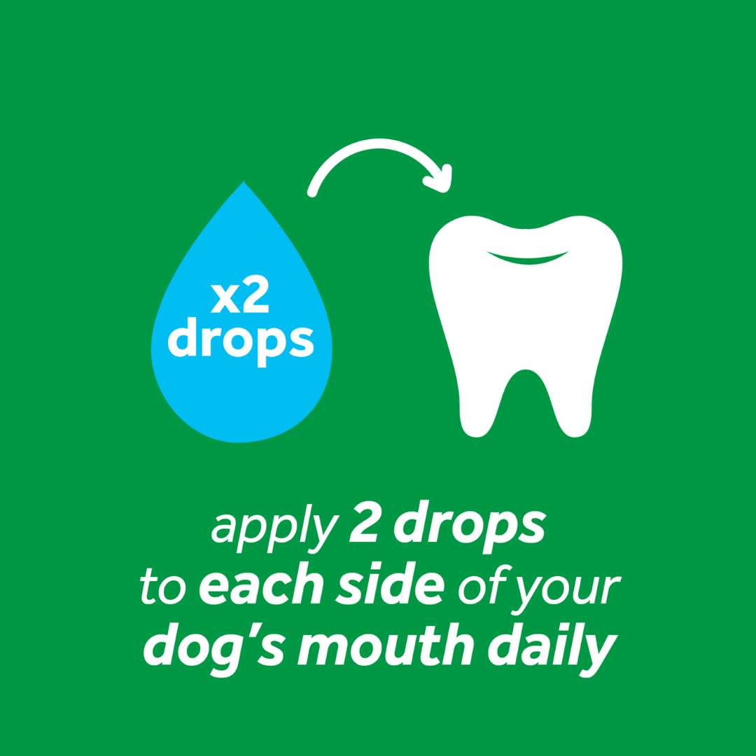 Tropiclean Dog Dental Care - Fresh Breath Oral Care Gel for Dogs