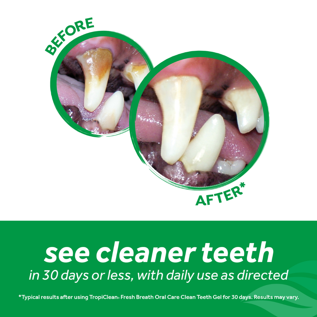 Tropiclean Dog Dental Care - Fresh Breath Oral Care Gel for Dogs