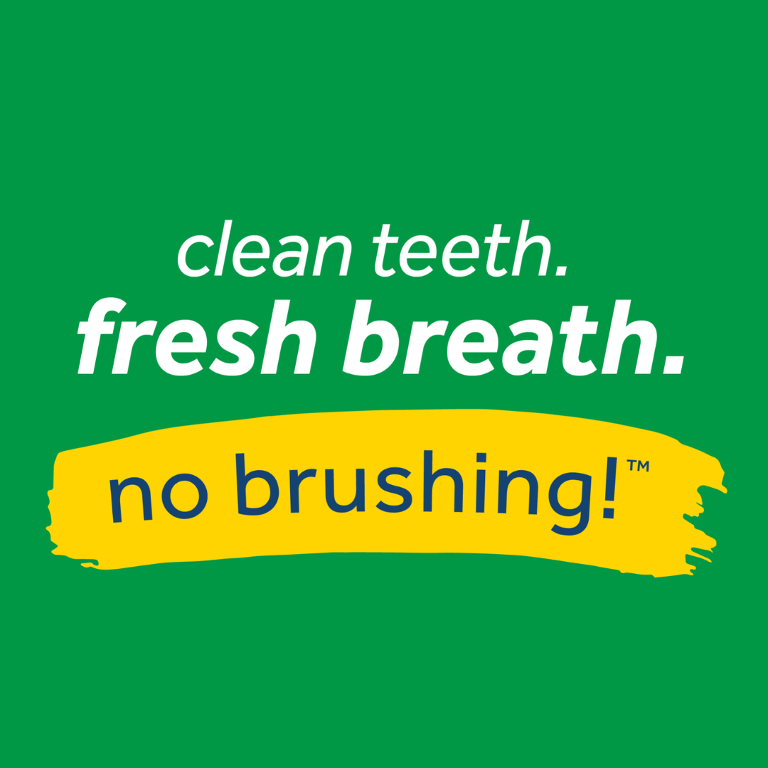 Tropiclean Dog Dental Care - Fresh Breath Oral Care Gel for Dogs