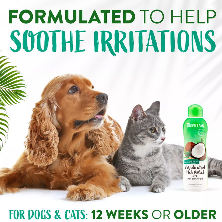 Tropiclean Dog & Cat Grooming Supplies - Tropiclean Oatmeal & Tea Tree Medicated Itch Relief Shampoo