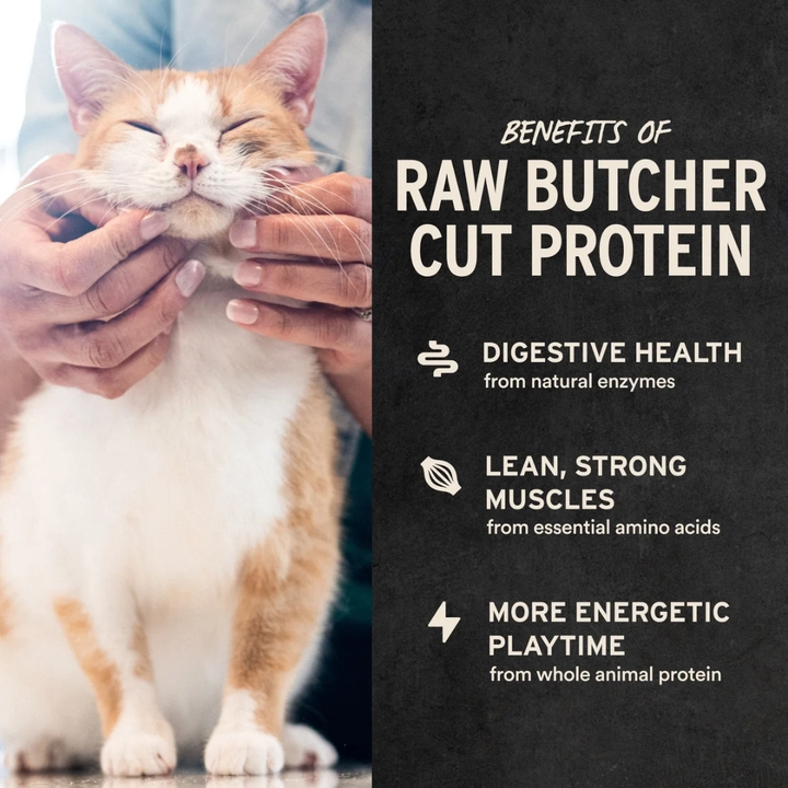 Vital Essentials Freeze-Dried Cat Treats - Raw Rabbit Bites