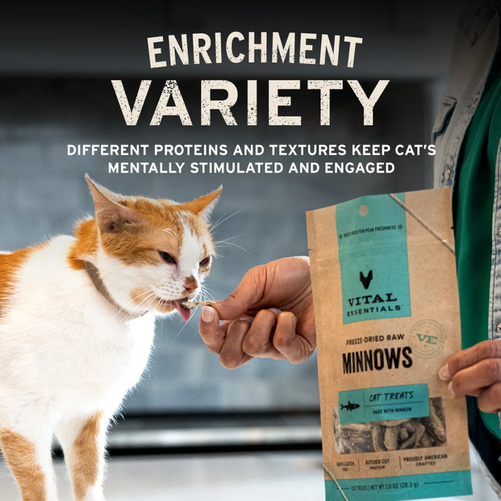 Vital Essentials Freeze-Dried Cat Treats - Raw Rabbit Bites