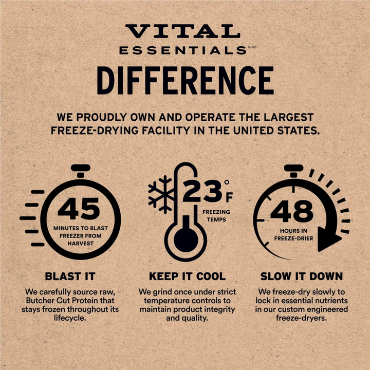 Vital Essentials Freeze-Dried Dog Treats - Raw Beef Bites