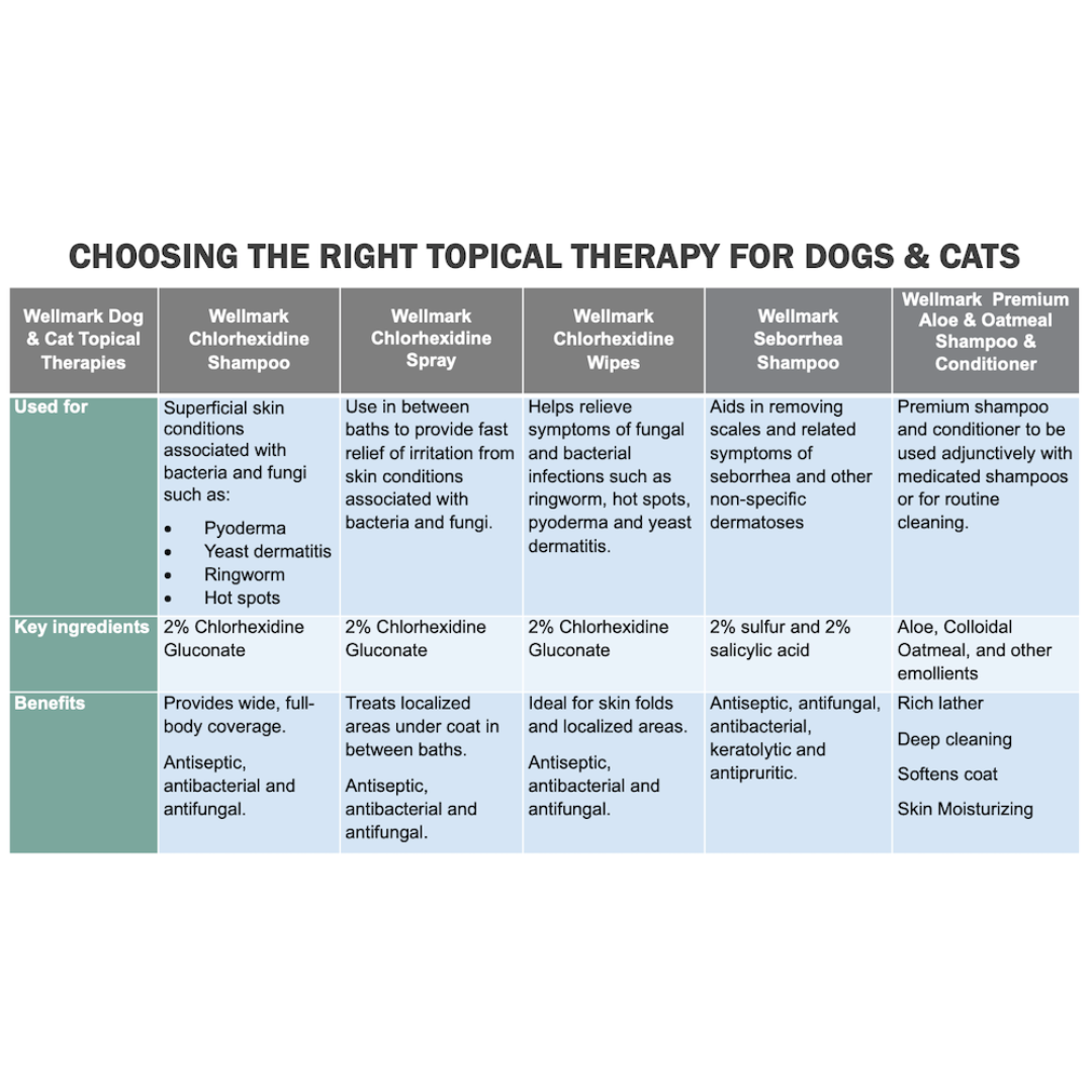 Wellmark Dog & Cat Shampoo - Chlorhexidine Shampoo