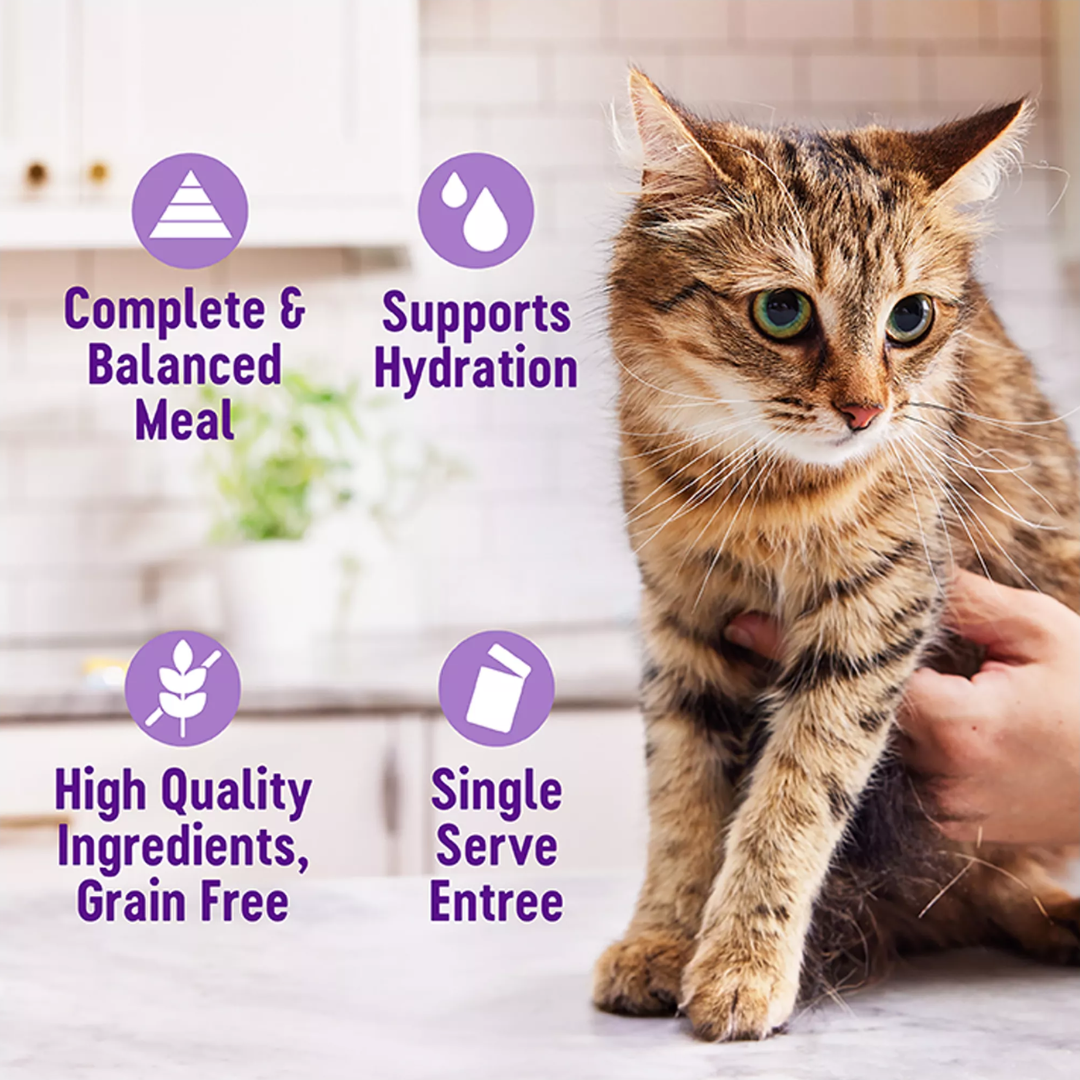 Wellness Wet Cat Food - Appetizing Entrée Little-a-This, Little-a-That, Seafood & Poultry Variety Pack