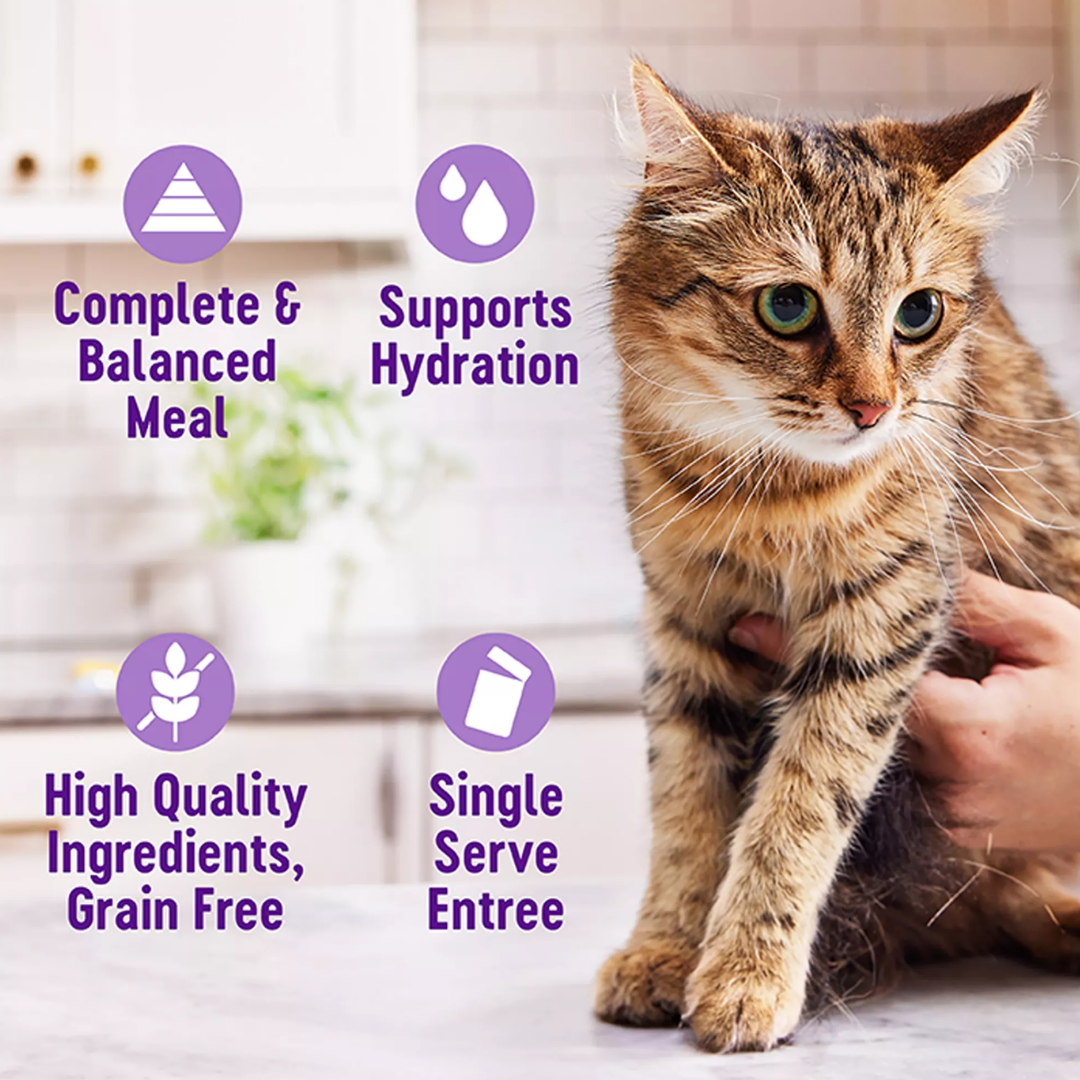 Wellness Wet Cat Food - Appetizing Entrée Shredded & Mousse Favorites, Poultry Variety Pack