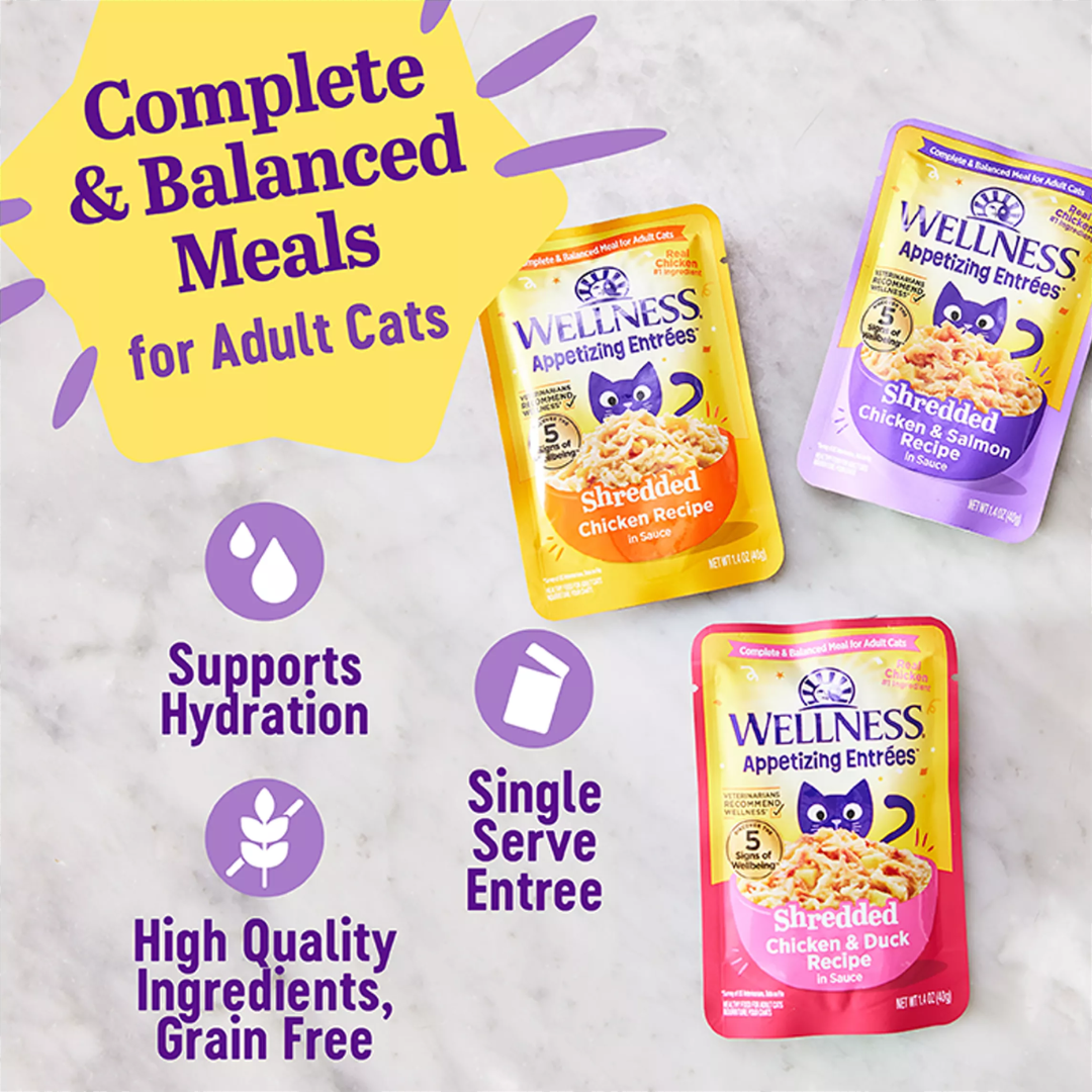 Wellness Wet Cat Food - Appetizing Entrées Shredded Chicken & Duck Recipe in Sauce Pouch