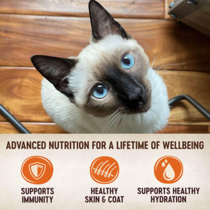 Wellness Wet Cat Food - CORE Tiny Tasters Chicken & Beef Pate Pouch