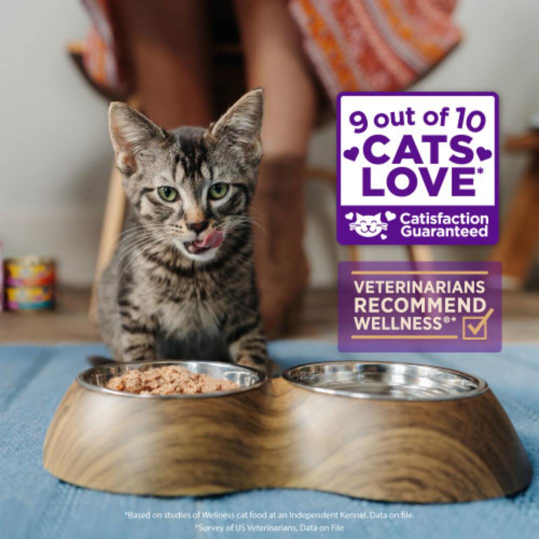 Wellness Wet Cat Food - CORE Tiny Tasters Chicken & Beef Pate Pouch