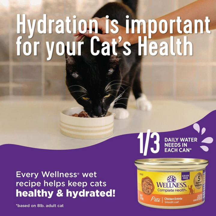 Wellness Wet Cat Food - Complete Health Minced Recipe Turkey & Salmon Entree Canned