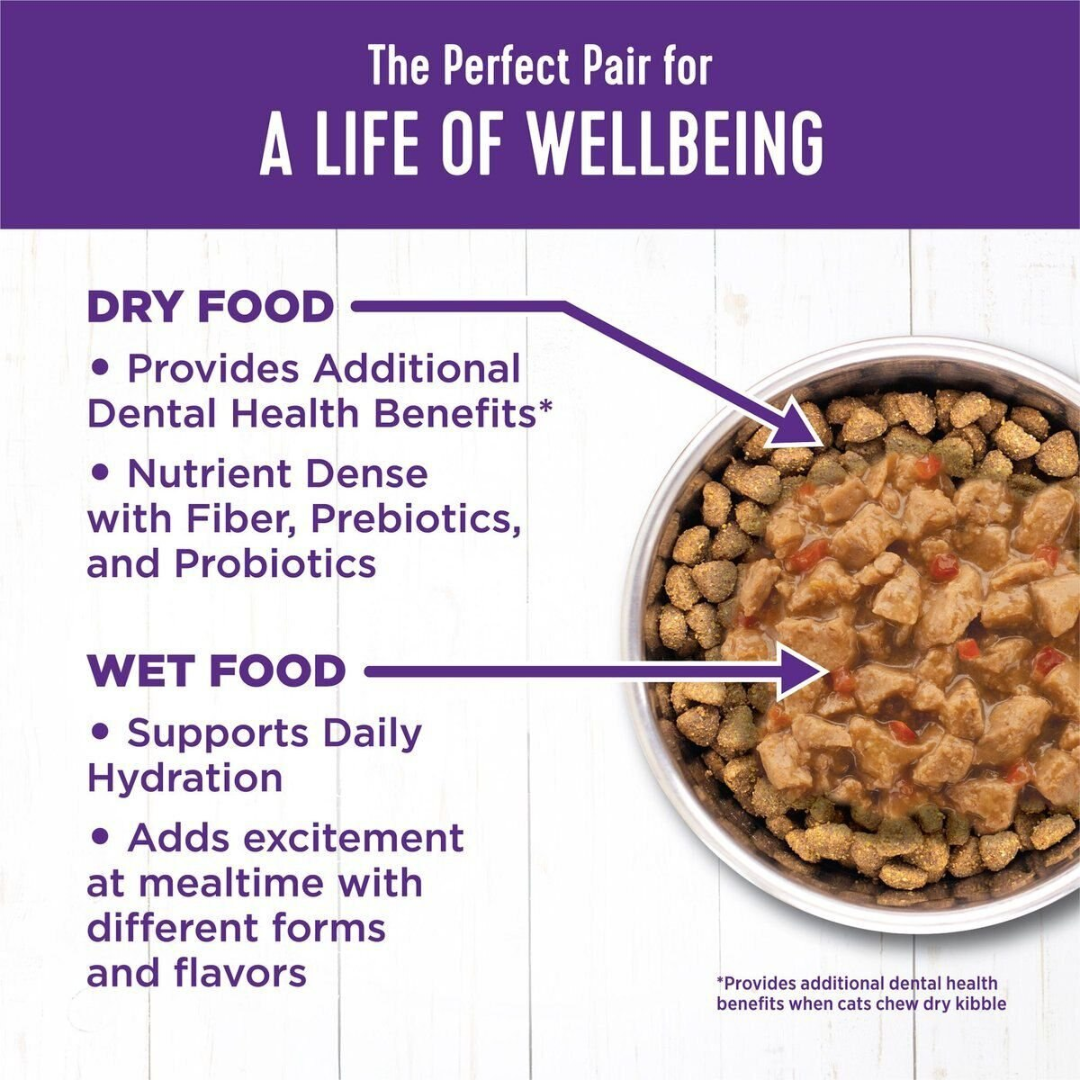 Wellness Wet Cat Food - Complete Health Minced Recipe Turkey & Salmon Entree Canned