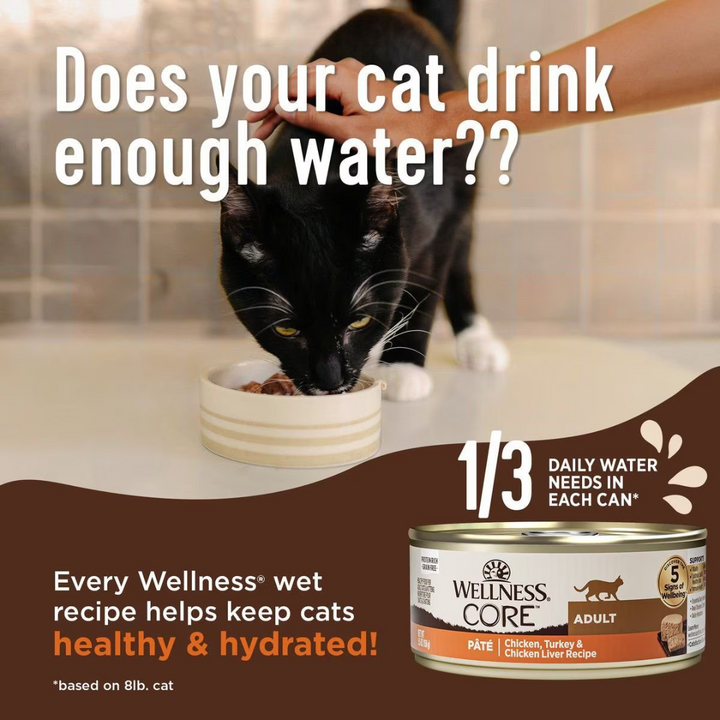 Wellness Wet Cat Food - Core Whitefish, Salmon & Herring Grain Free Recipe Pate Canned