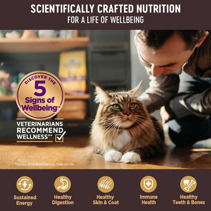 Wellness Wet Cat Food - Core Whitefish, Salmon & Herring Grain Free Recipe Pate Canned
