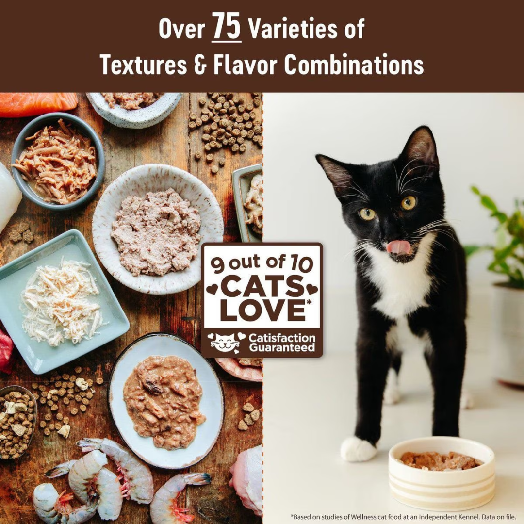 Wellness Wet Cat Food - Core Whitefish, Salmon & Herring Grain Free Recipe Pate Canned