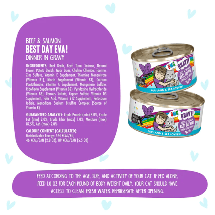 Weruva Wet Cat Food - BFF OMG Gravy Beef & Salmon Best Day Eva! Beef & Salmon Dinner in Gravy Canned 