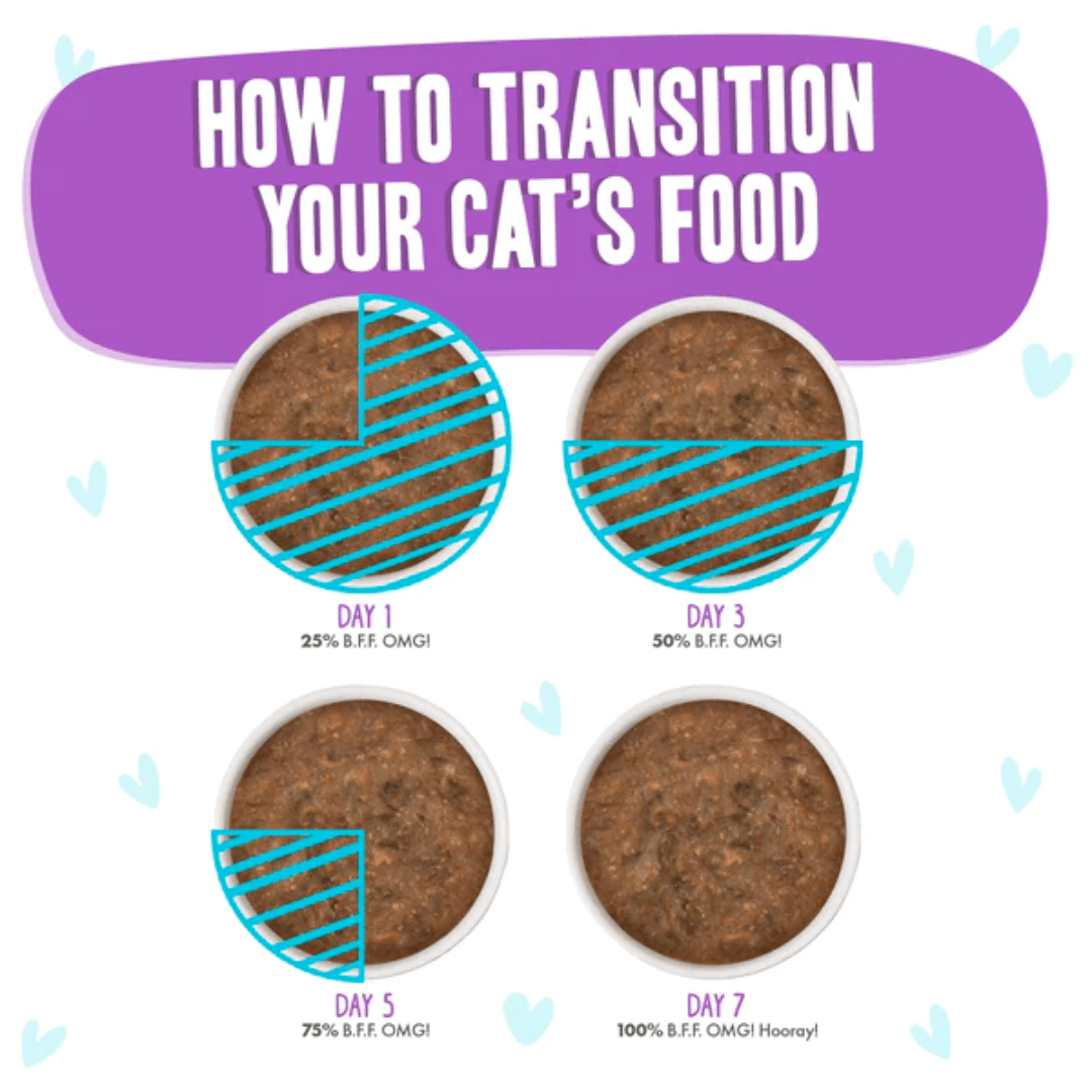 Weruva Wet Cat Food - BFF OMG Gravy Beef & Salmon Best Day Eva! Beef & Salmon Dinner in Gravy Canned 