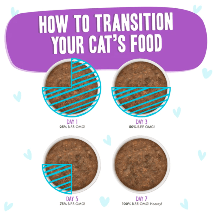 Weruva Wet Cat Food - BFF OMG Gravy Beef & Salmon Best Day Eva! Beef & Salmon Dinner in Gravy Canned 