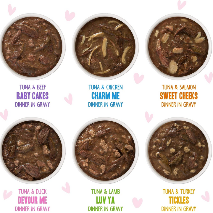 Weruva Wet Cat Food - BFF OMG Gravy  Rainbow À Gogo Variety Pack 
