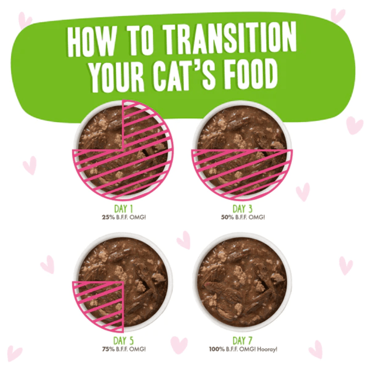 Weruva Wet Cat Food - BFF OMG Gravy Tuna & Lamb Luv Ya in Gravy Pouch 