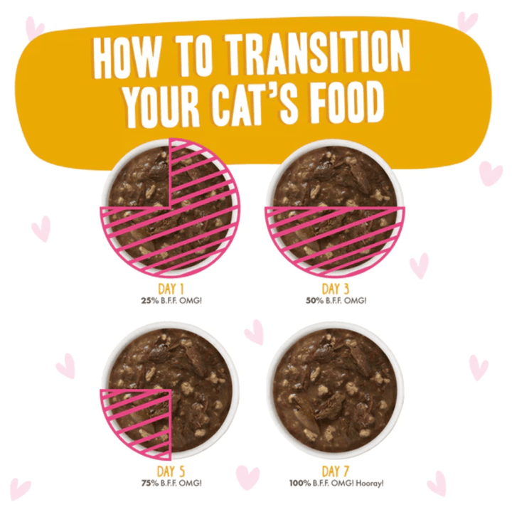 Weruva Wet Cat Food - BFF OMG Tuna & Turkey Tickles in Gravy Pouch 