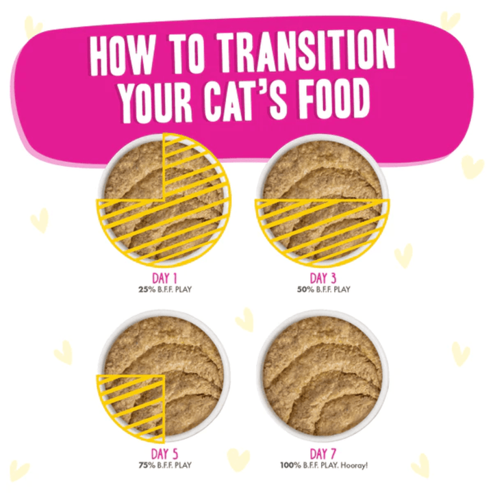 Weruva Wet Cat Food - BFF PLAY Paté Chicken & Duck Destiny Pouch 