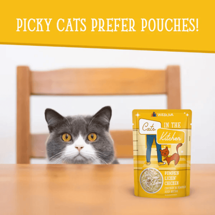 Weruva Wet Cat Food - Cats in the Kitchen  Pumpkin Lickin' Chicken in Pumpkin Soup Pouch 