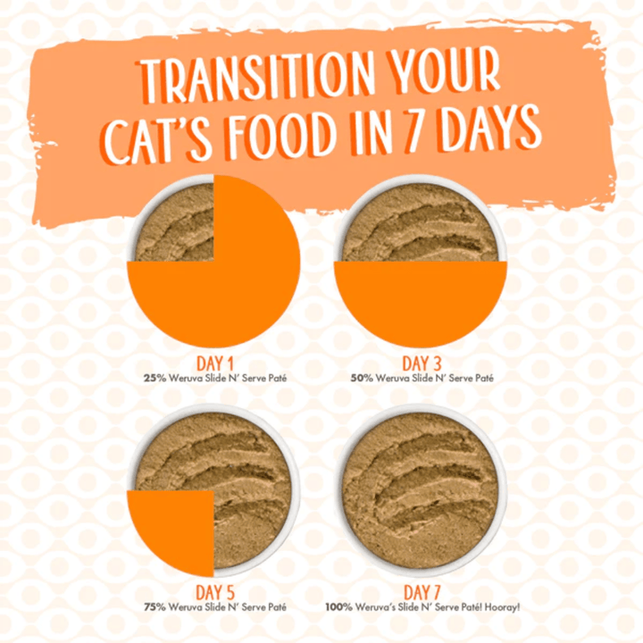 Weruva Wet Cat Food - Pate Love Connection Chicken & Salmon in a Hydrating Purée Pouch 